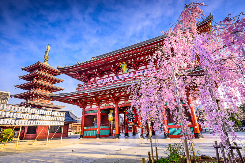 Tokyo, Japan – A Cultural and Technological Wonderland